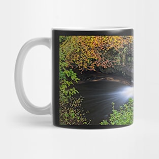 Hamsterley Forest Waterfall Mug